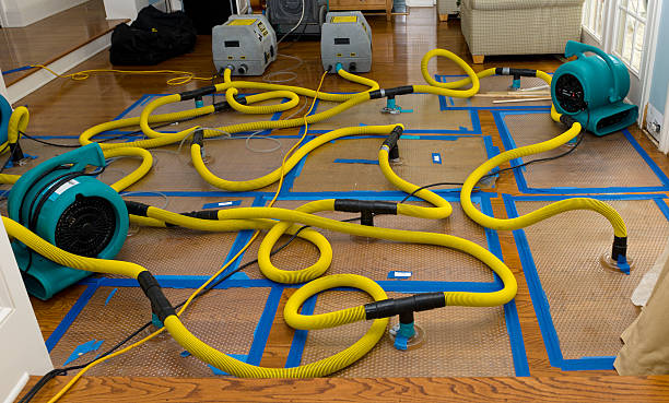 Professional Flood Damage Restoration technician working in Brownsdale, MN